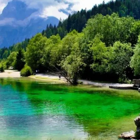 Les I * Kranjska Gora